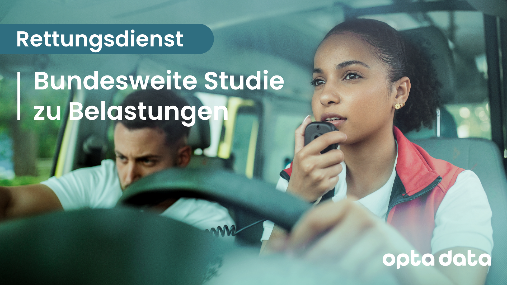 Bild Studie