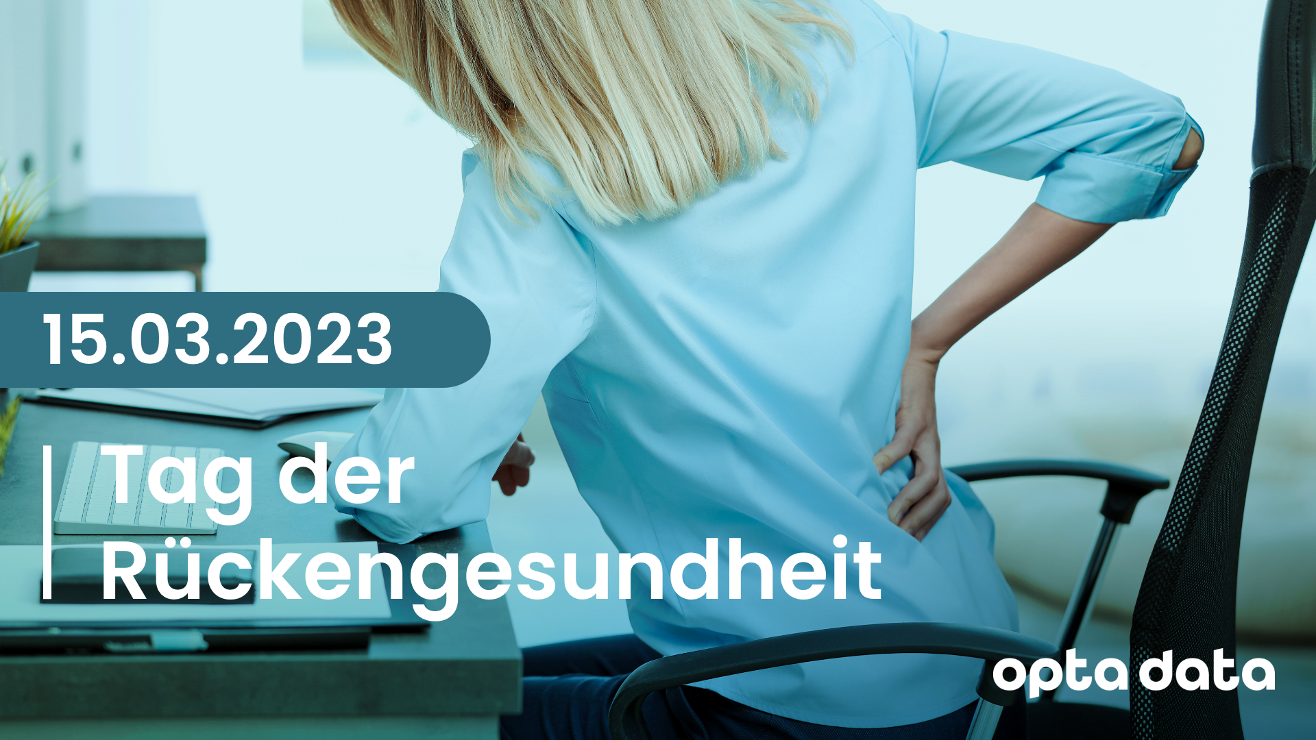 Bild Rücken
